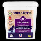 Hilton Herbs Hoof & Health - Just Horse Riders