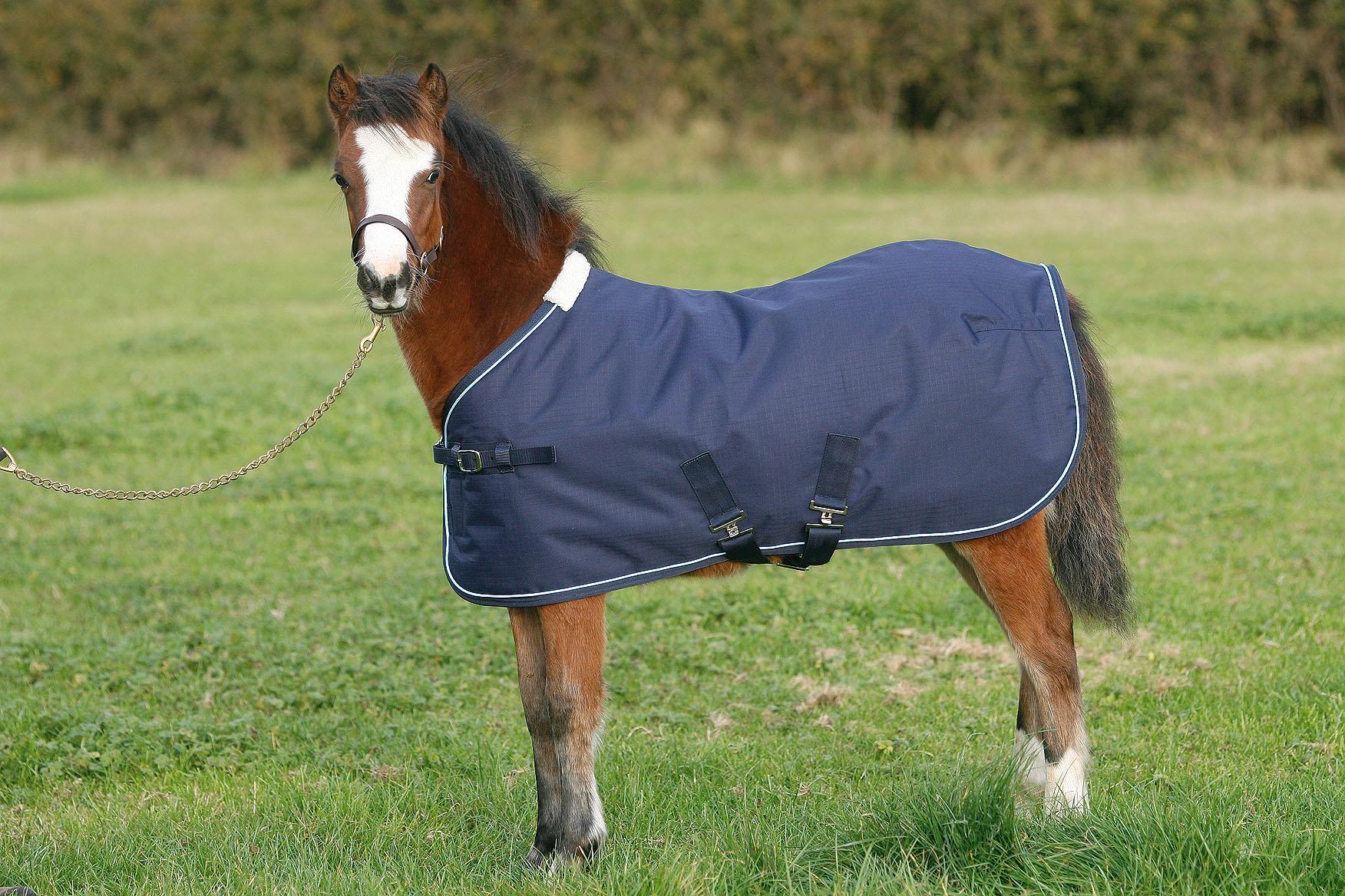Mark Todd Foal Turnout Rug - Just Horse Riders