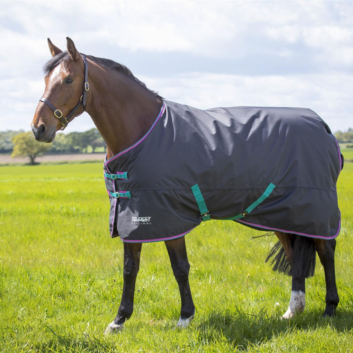 Tempest Original 300 Turnout Rug | Fast UK dispatch – Just Horse Riders
