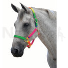 Roma Rainbow Headcollar - Just Horse Riders