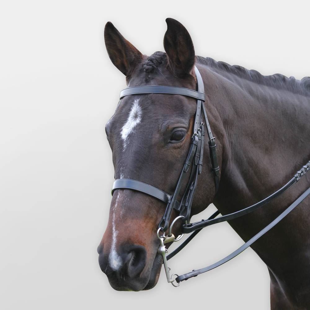 Kincade Show Weymouth Bridle - Just Horse Riders
