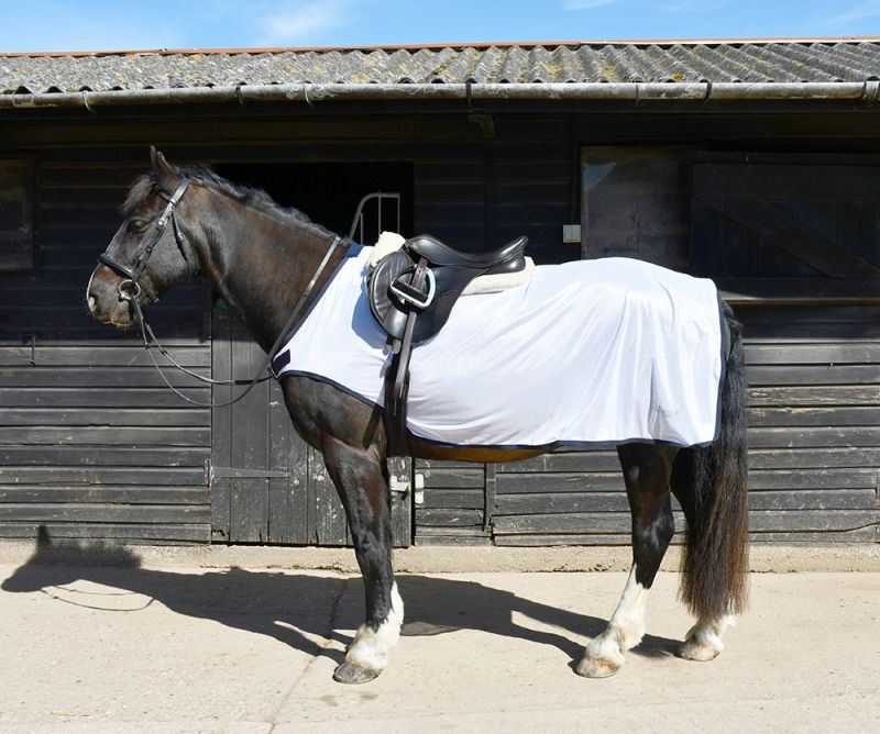Rhinegold Fly Rug | Lightweight | Just Horse Riders
