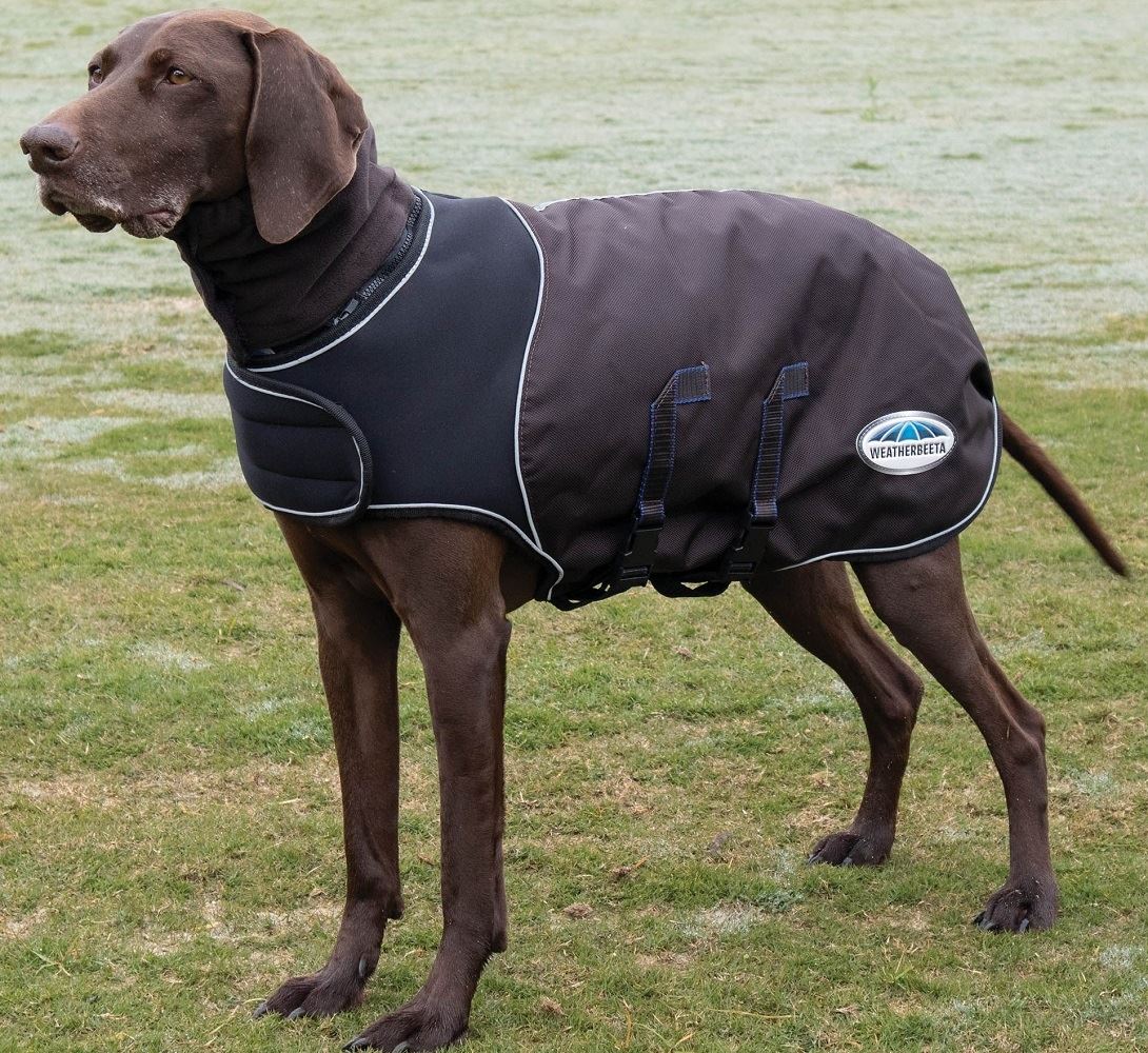 Weatherbeeta Comfitec Ultra Cozi Dog Coat Medium/Lite - Just Horse Riders