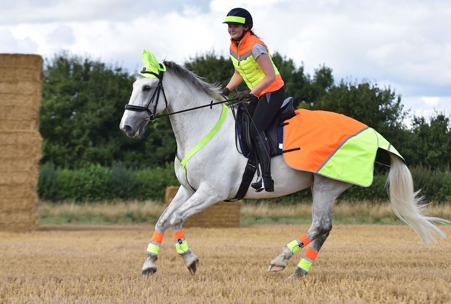Equisafety Breathable Mesh Quarter Sheet - Just Horse Riders