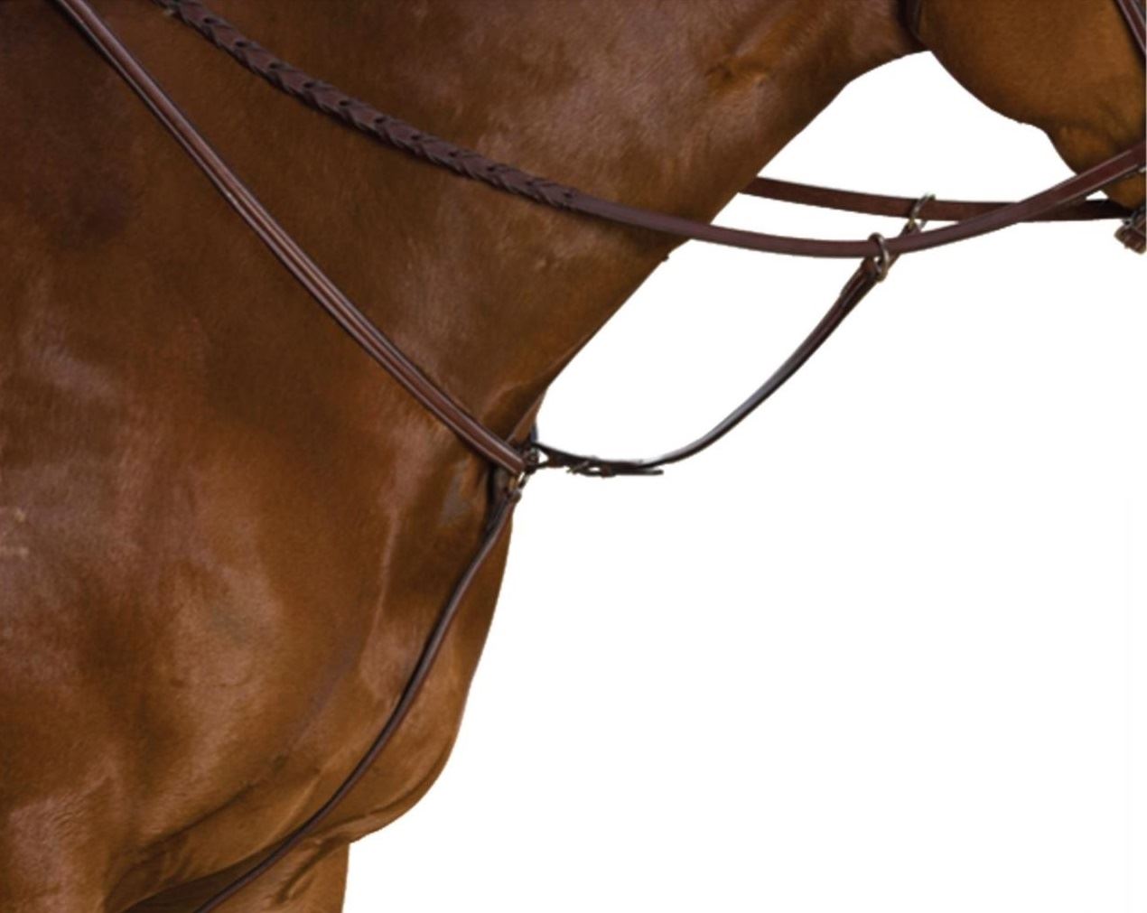 Collegiate Plain Raised Breastplate With Martingale Attachment - Just Horse Riders