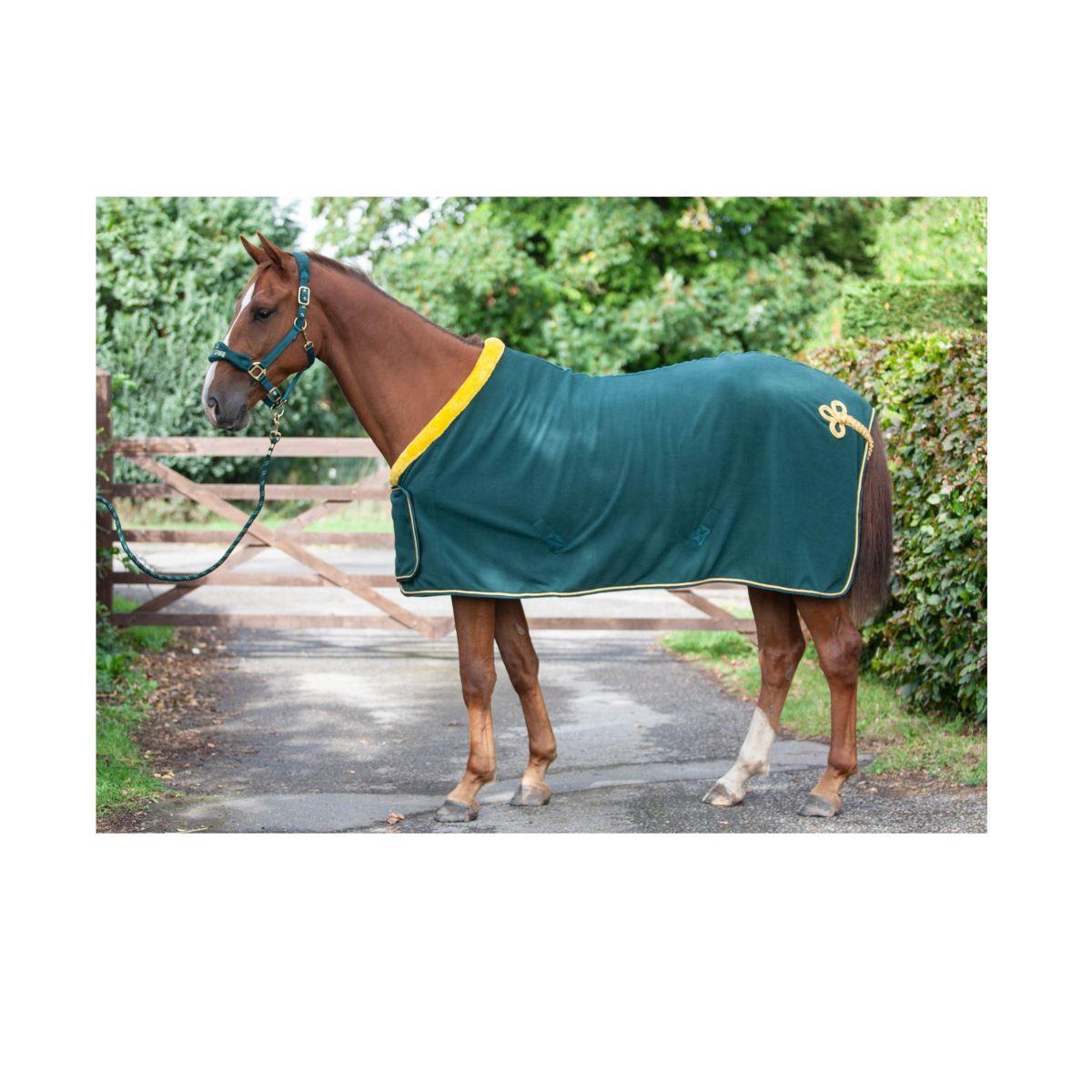 Elite Performance Show Rug | Durable | Just Horse Riders