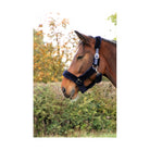 Hy Equestrian Fab Fleece Headcollar - Just Horse Riders