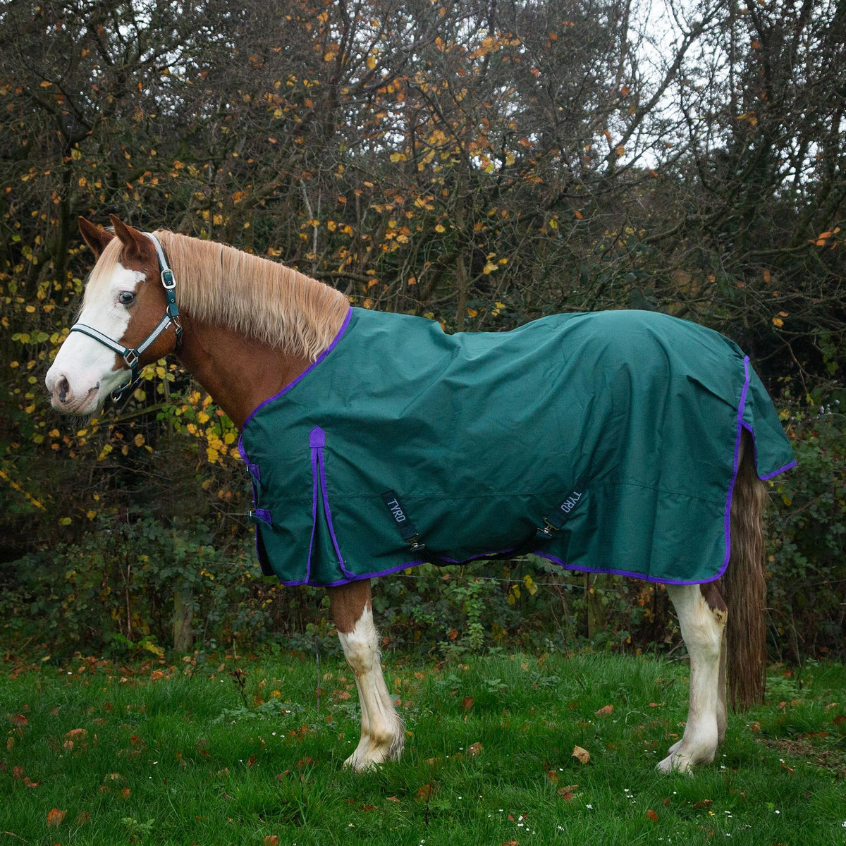Tyro 50 Lightweight Turnout Rug 600D | Next Day Delivery – Just Horse ...