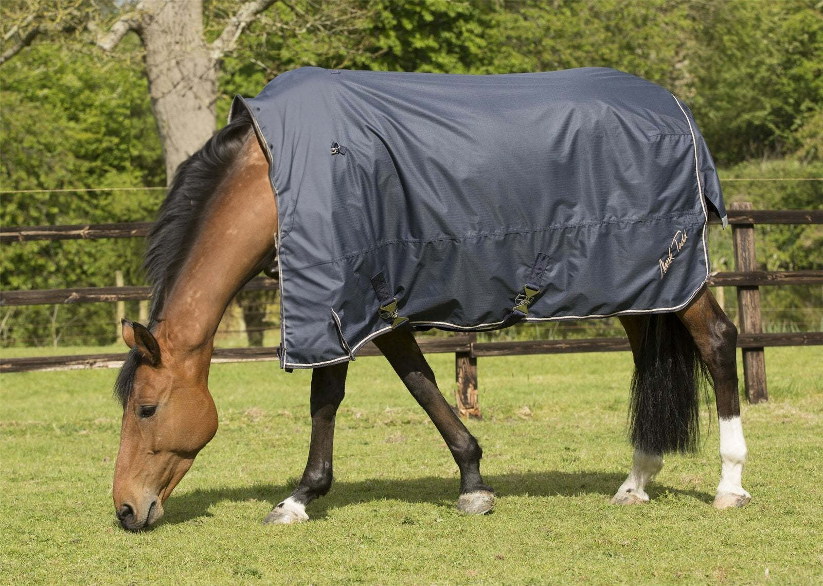 Mark Todd Lightweight Turnout Rug - Just Horse Riders