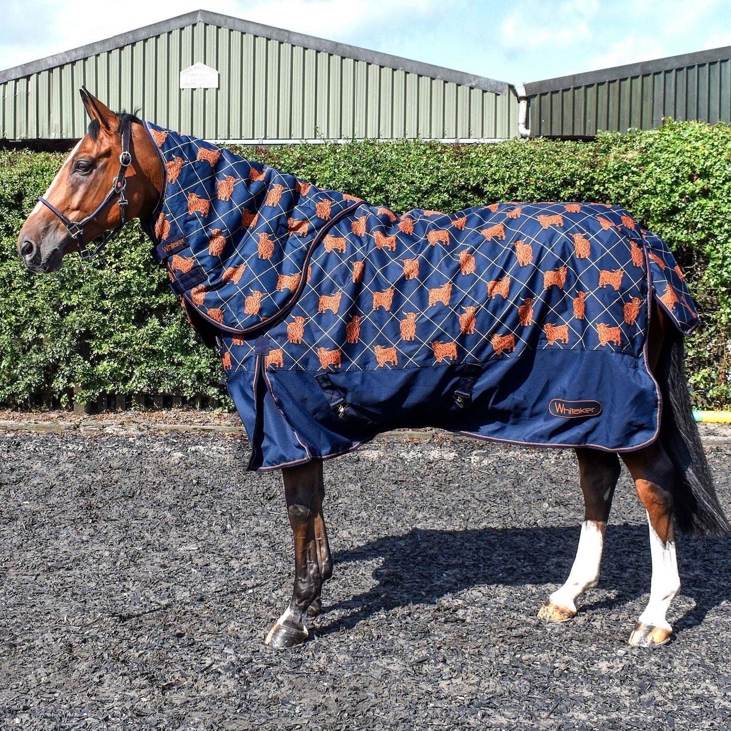 Whitaker Angus Turnout Rug Combo 170Gm - Just Horse Riders