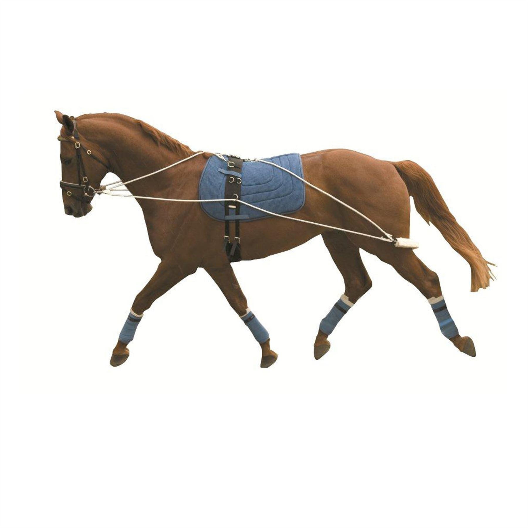 Kincade Lunging Training System - Just Horse Riders