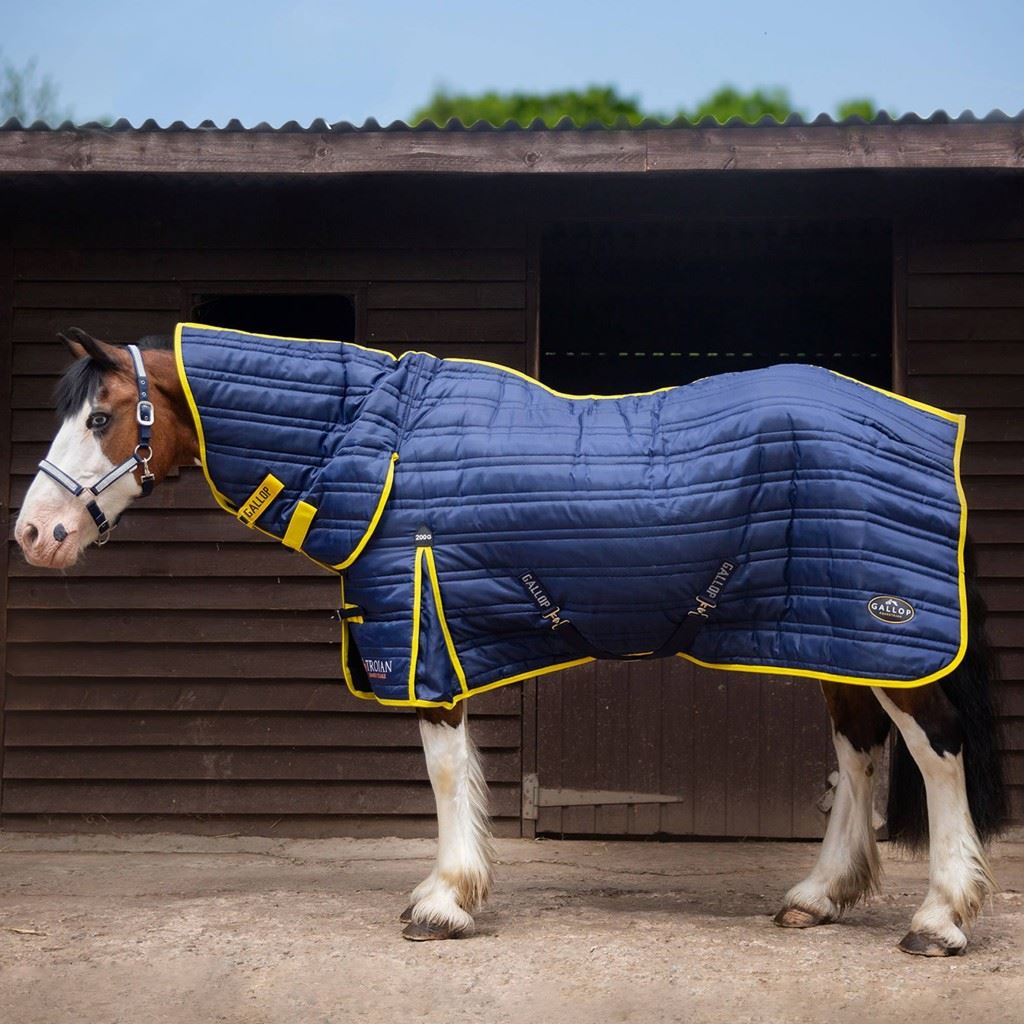 Stable Rug For Cobs Gallop Trojan 200G Combo Stable Rug Navy | Next Day Delivery – Just ...
