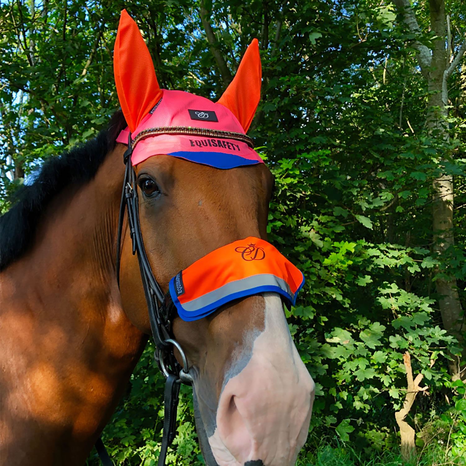 Equisafety Multi-Coloured Noseband - Just Horse Riders