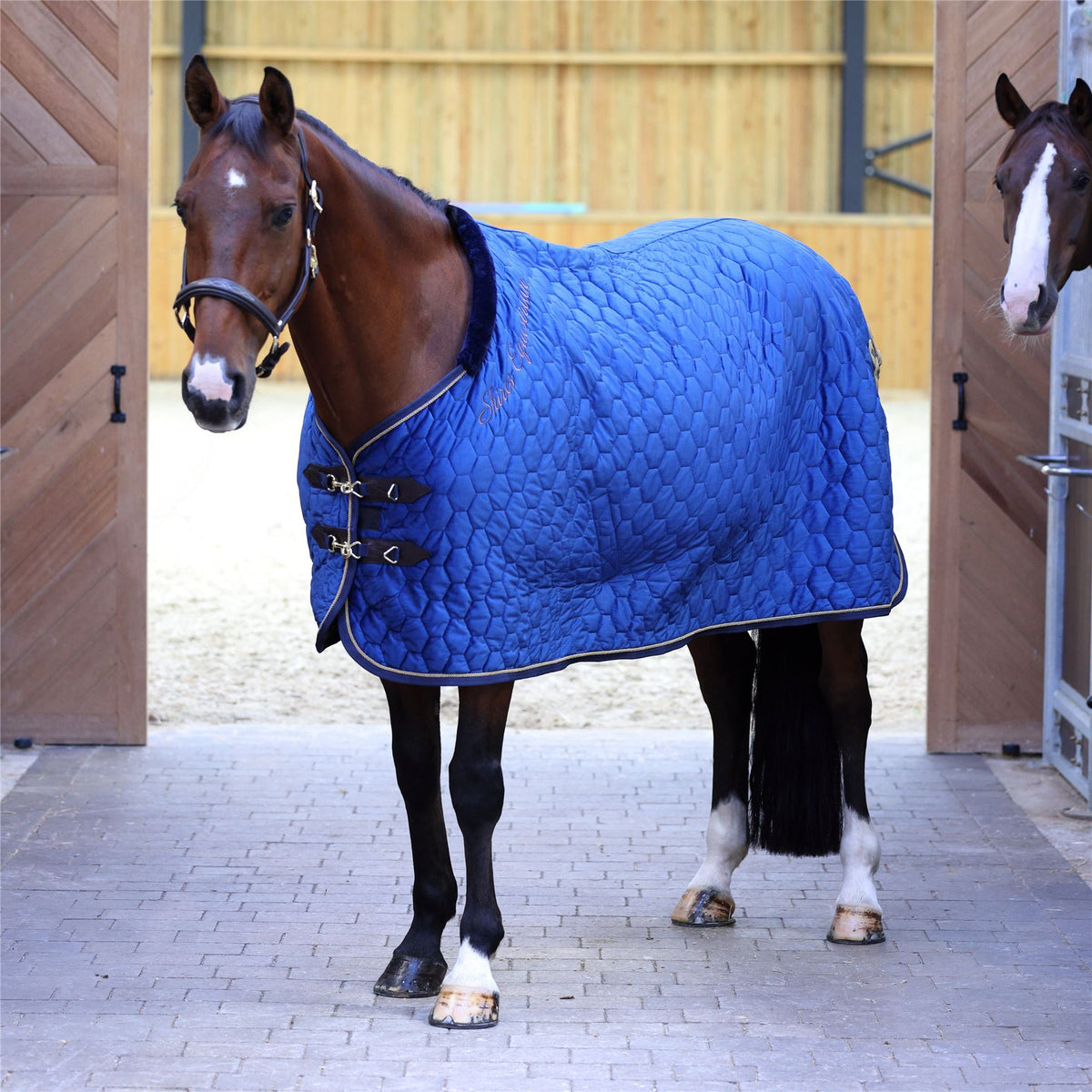 Shires Deluxe Quilted Show Rug | Comfortable – Just Horse Riders