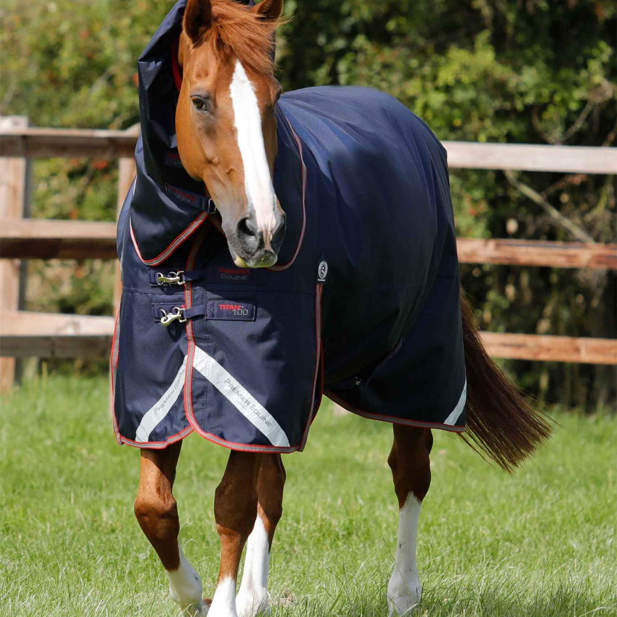 Heavyweight Rugs Premier Equine 100g Turnout Rug | Waterproof – Just Horse Riders