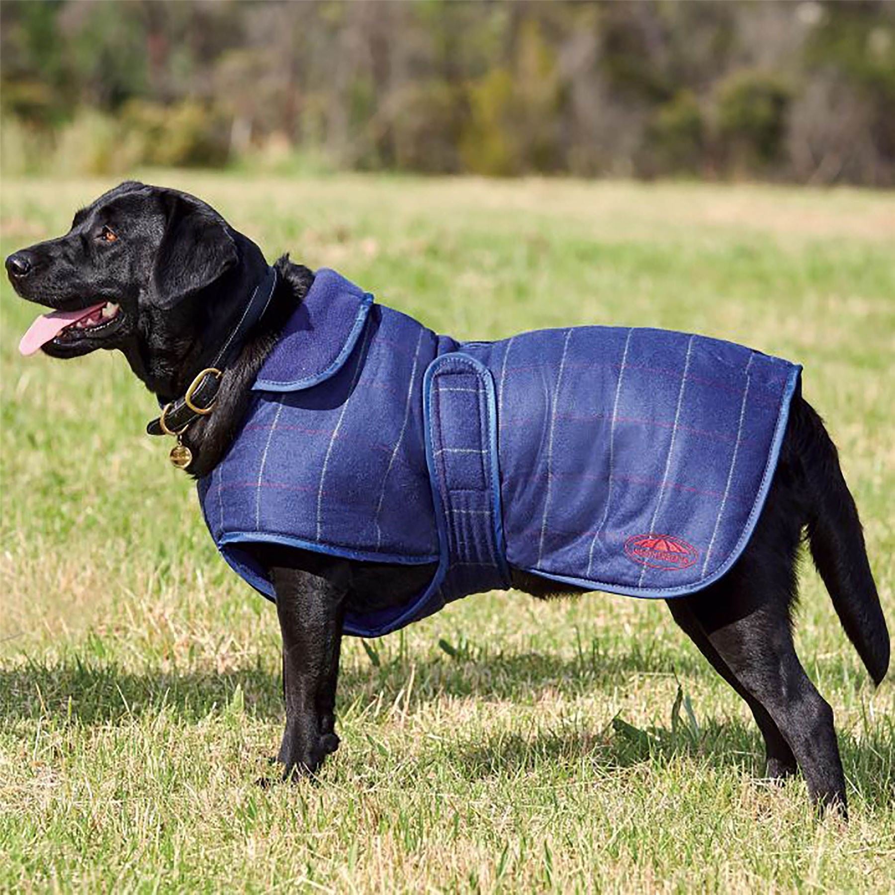 Weatherbeeta Tweed Dog Coat - Just Horse Riders