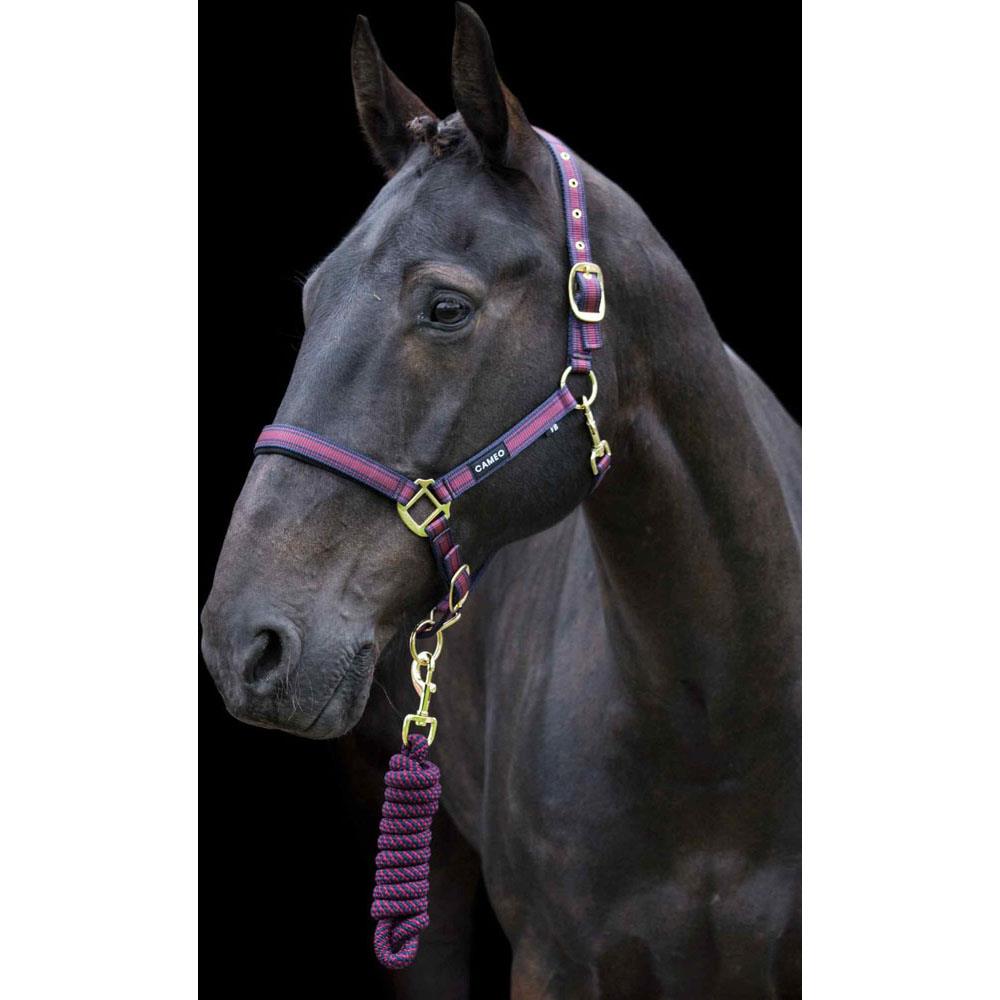 Cameo Equine Core Headcollar & Rope: For Everyday Use with Soft Neoprene Lining - Just Horse Riders