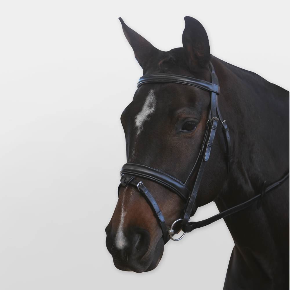 Kincade Padded Headpiece Bridle - Just Horse Riders