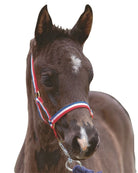 Roma Foal Headcollar - Just Horse Riders