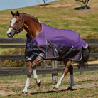 Weatherbeeta Comfitec Plus Dynamic Standard Neck Medium/Lite - Just Horse Riders