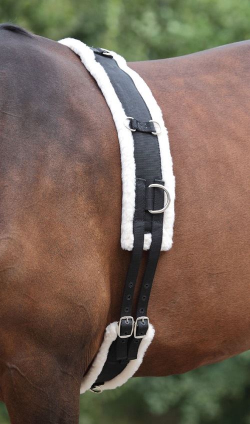 Kincade Lunge Roller With Fleece Padding - Just Horse Riders
