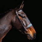 Cameo Equine Hunt Bridle 2 Brownbands Versatile for General Use Hunting Showing - Just Horse Riders