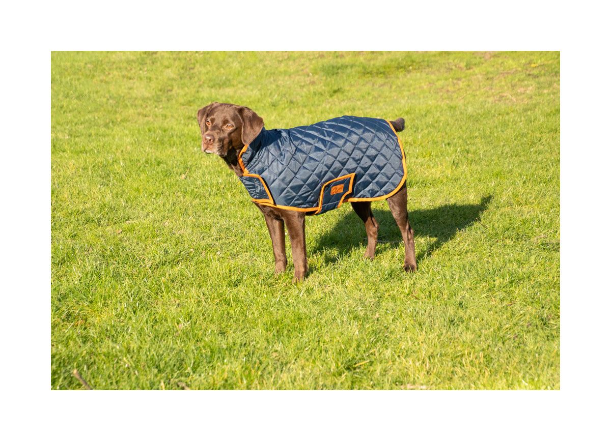 Benji & Flo Quilted Dog Coat - Just Horse Riders