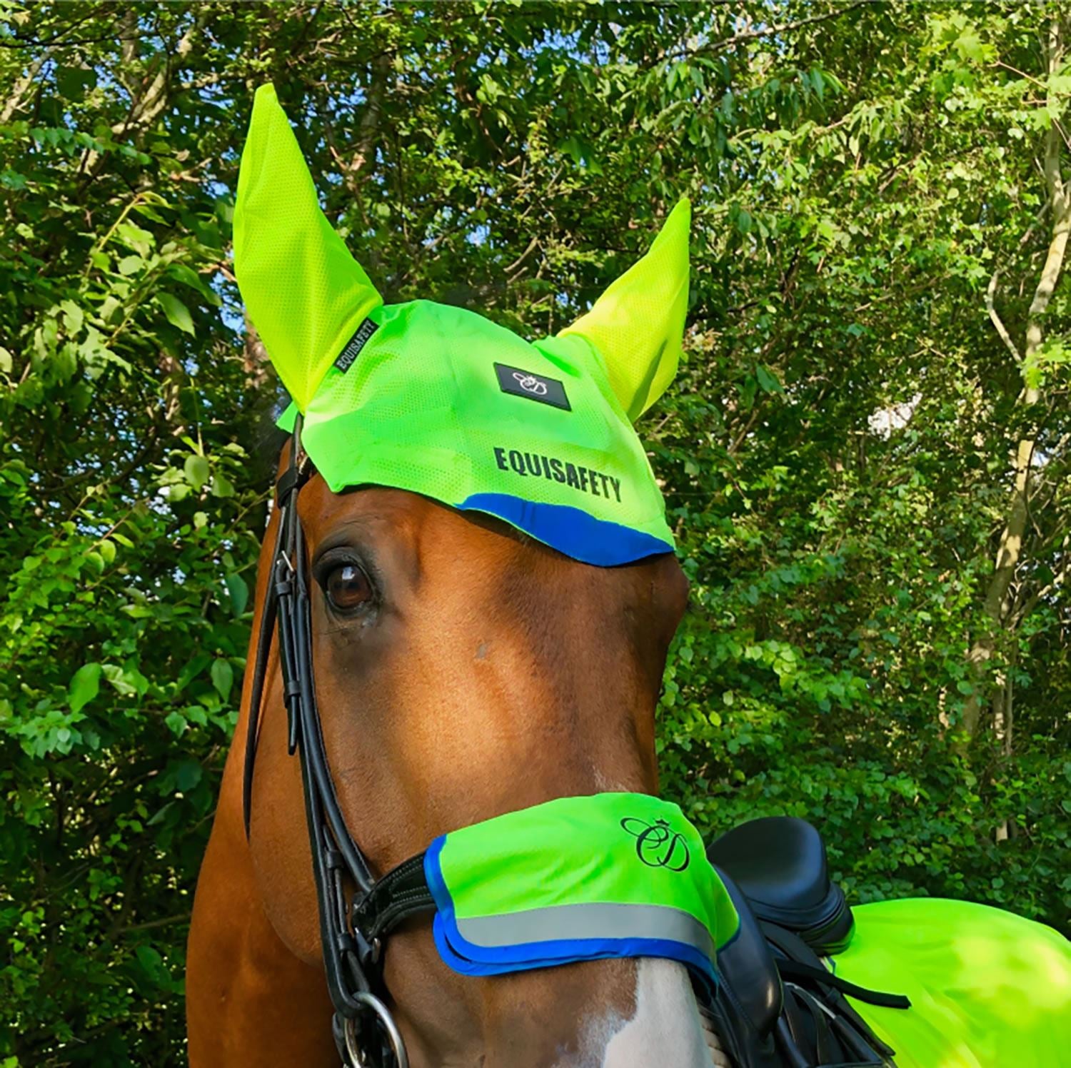 Equisafety Multi-Coloured Noseband - Just Horse Riders