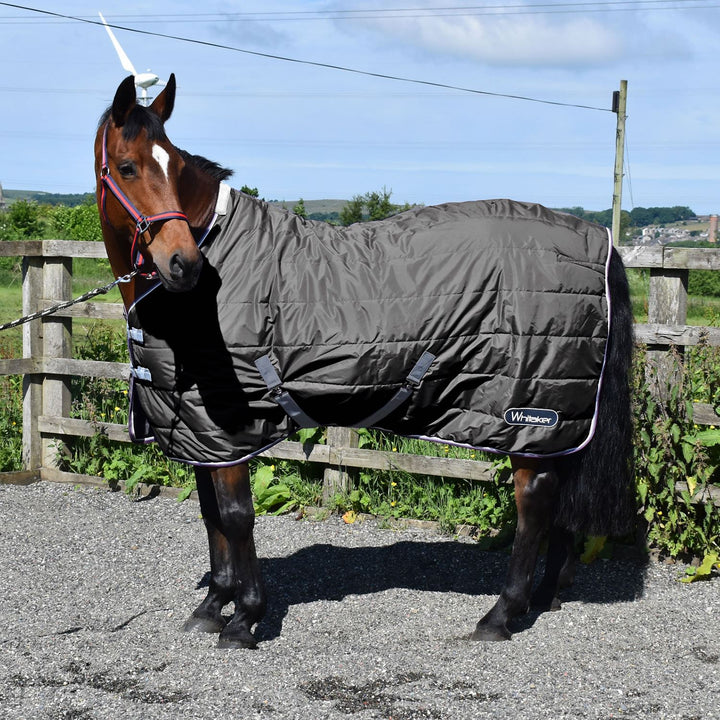 WHITAKER CROMPTON STABLE RUG 100GM - Perfect for Cooler Nights