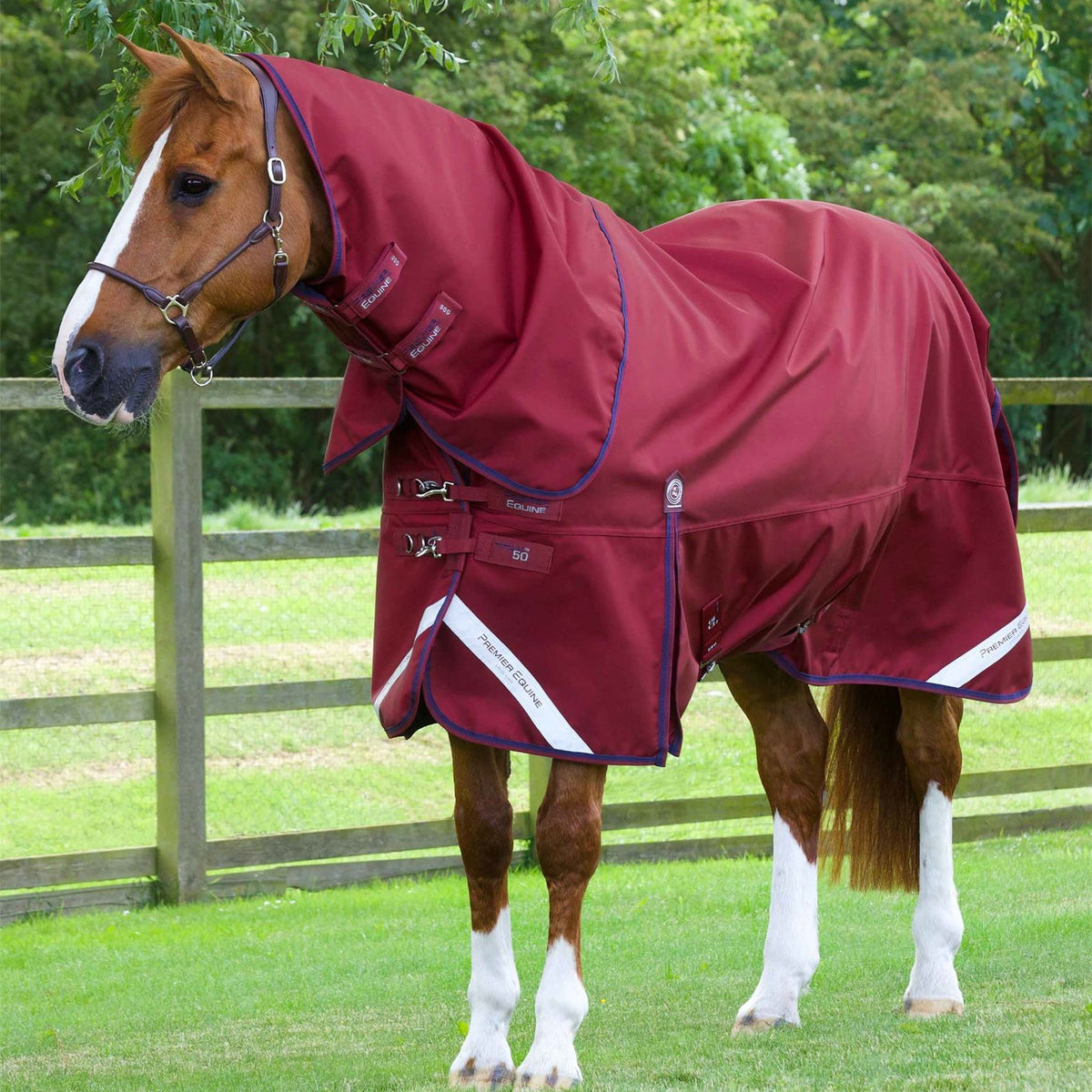 Premier Equine 50g Turnout Rug | Waterproof – Just Horse Riders