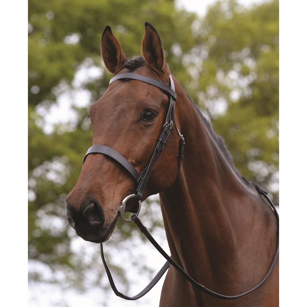 Kincade Hunt Cavesson Bridle - Just Horse Riders