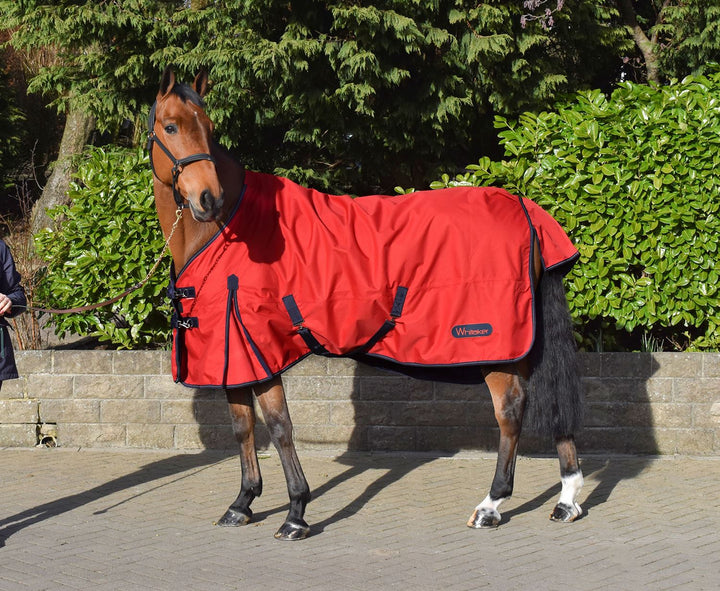WHITAKER RASTRICK TURNOUT RUG 0GM - perfect for warmer days