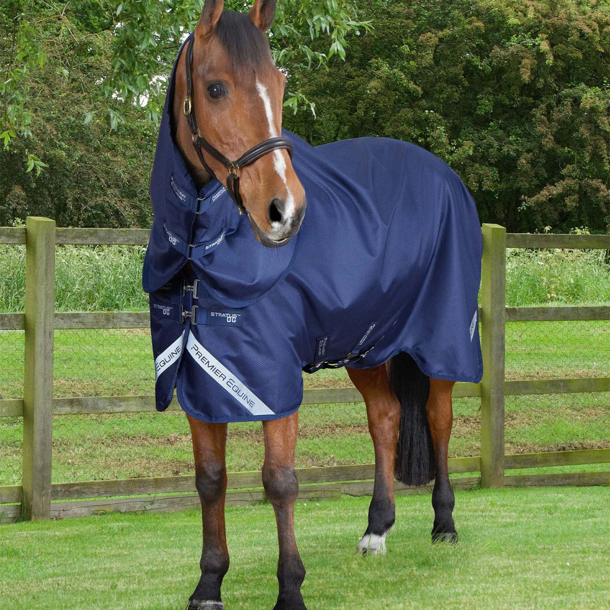 Premier Equine Stratus 600D Series 0g Turnout Rug with Classic Neck Co ...