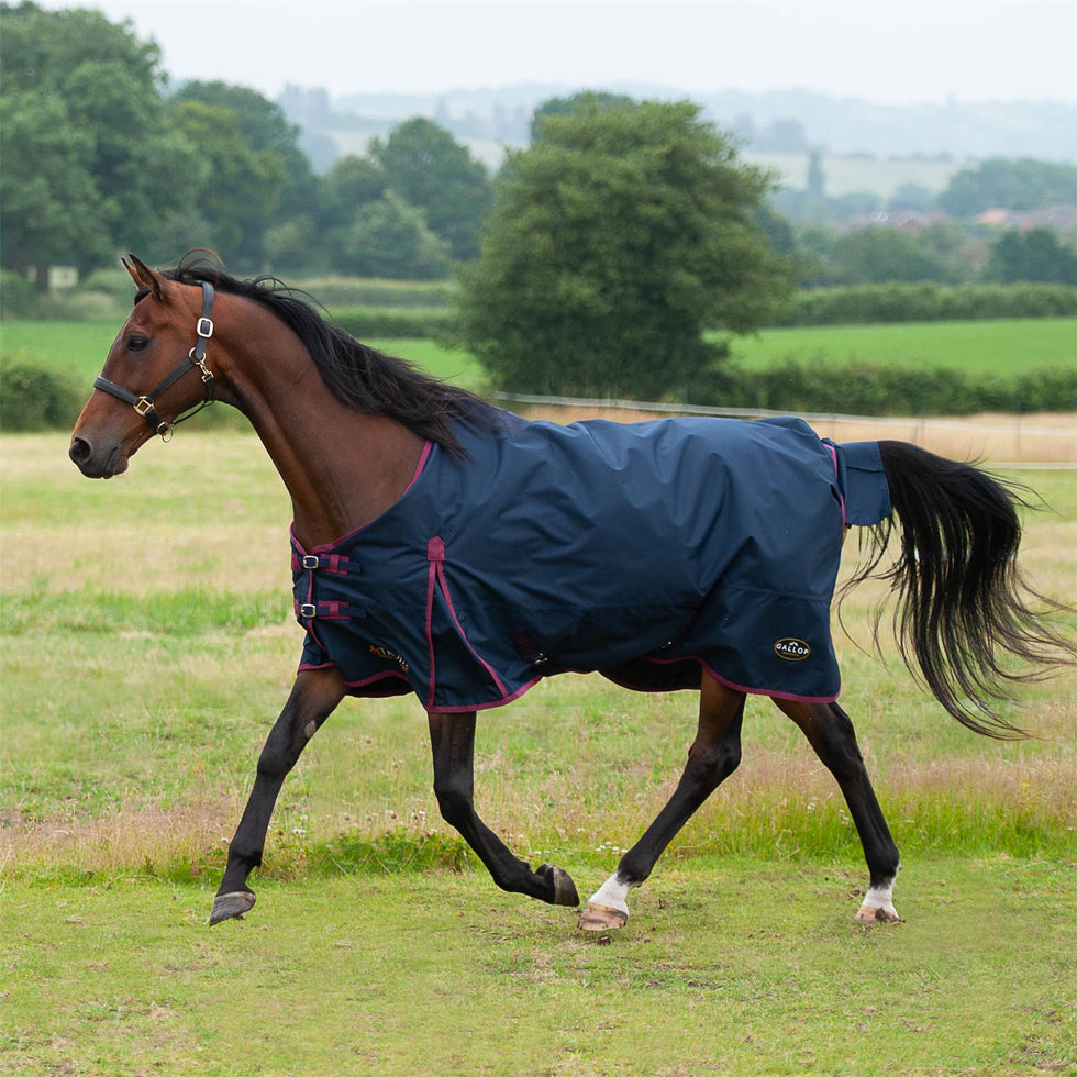 Gallop Equestrian Rugs & Riding Gear | Just Horse Riders