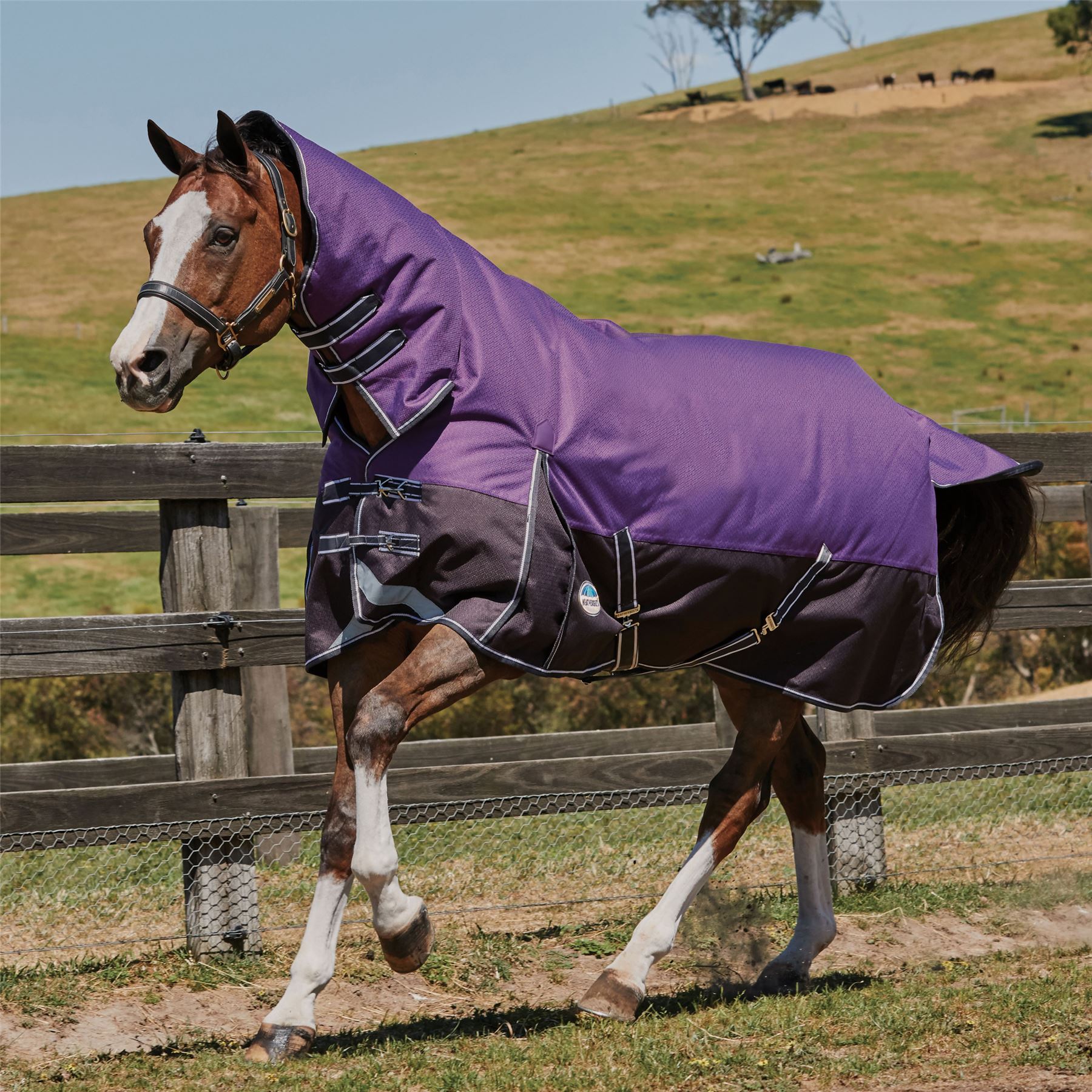 Weatherbeeta Comfitec Plus Dynamic Combo Neck Medium/Lite - Just Horse Riders