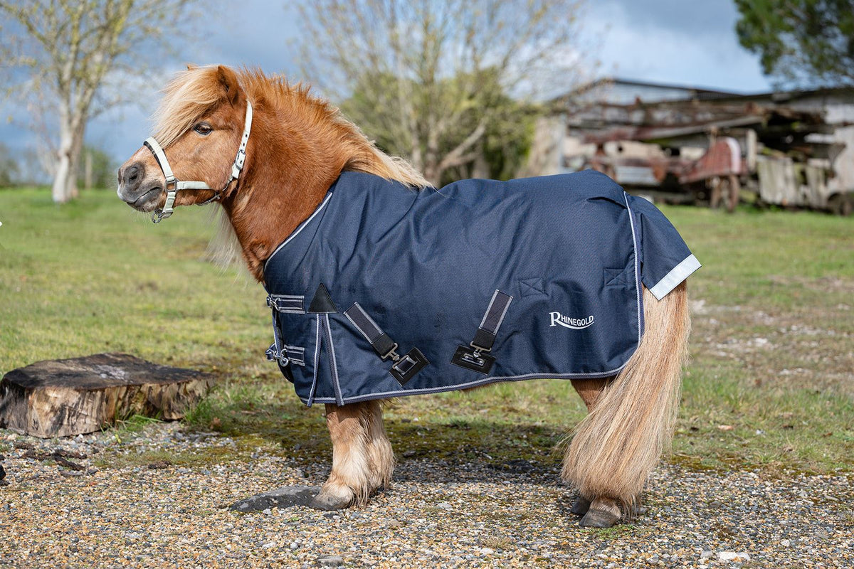 Mini Turnout Rug 600D 100g | Rhinegold Arizona Foal Pony Rug – Just ...