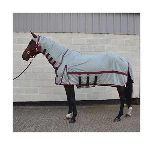 Hy Guardian Fly Rug & Fly Mask | Next Day Delivery – Just Horse Riders