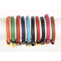 Digby & Fox Rolled Leather Dog Collar