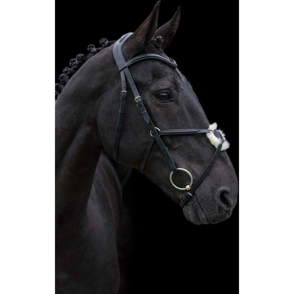 Cameo Equine Anatomic Grackle Bridle - Comfort & Control & Soft Sheepskin - Just Horse Riders