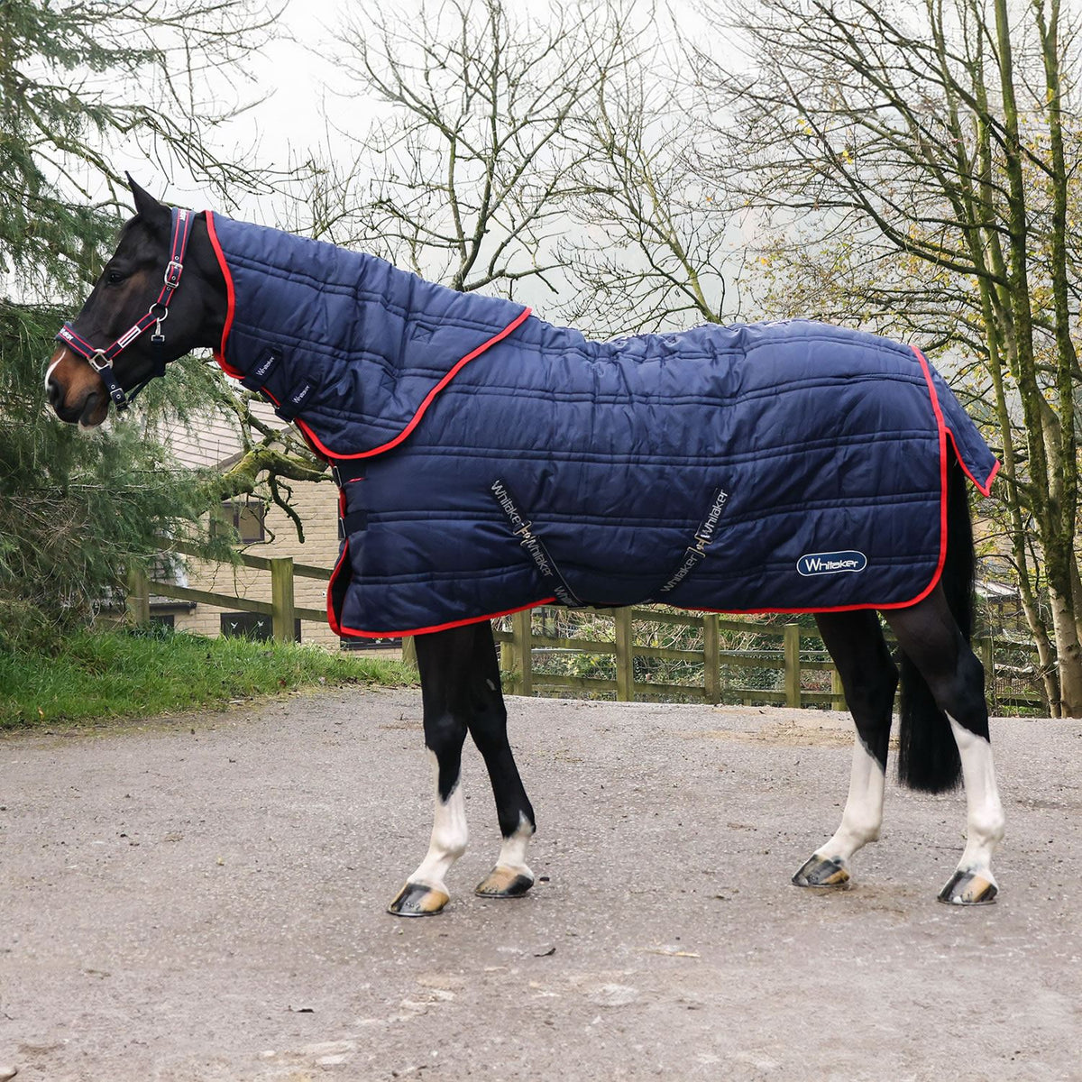 Whitaker Rastrick V2 250G Stable Rug | Fast UK dispatch – Just Horse Riders