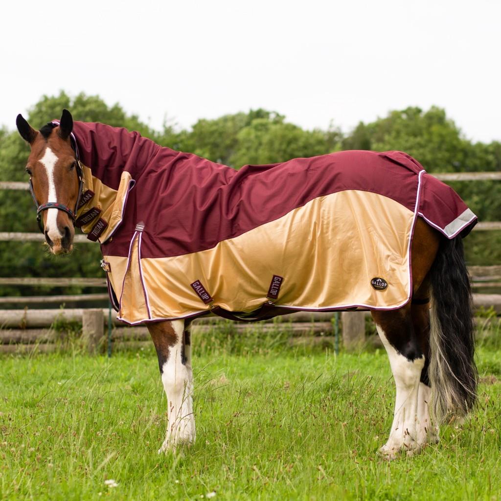 Gallop Equestrian Trojan Xtra Fly Turnout Combo - Just Horse Riders