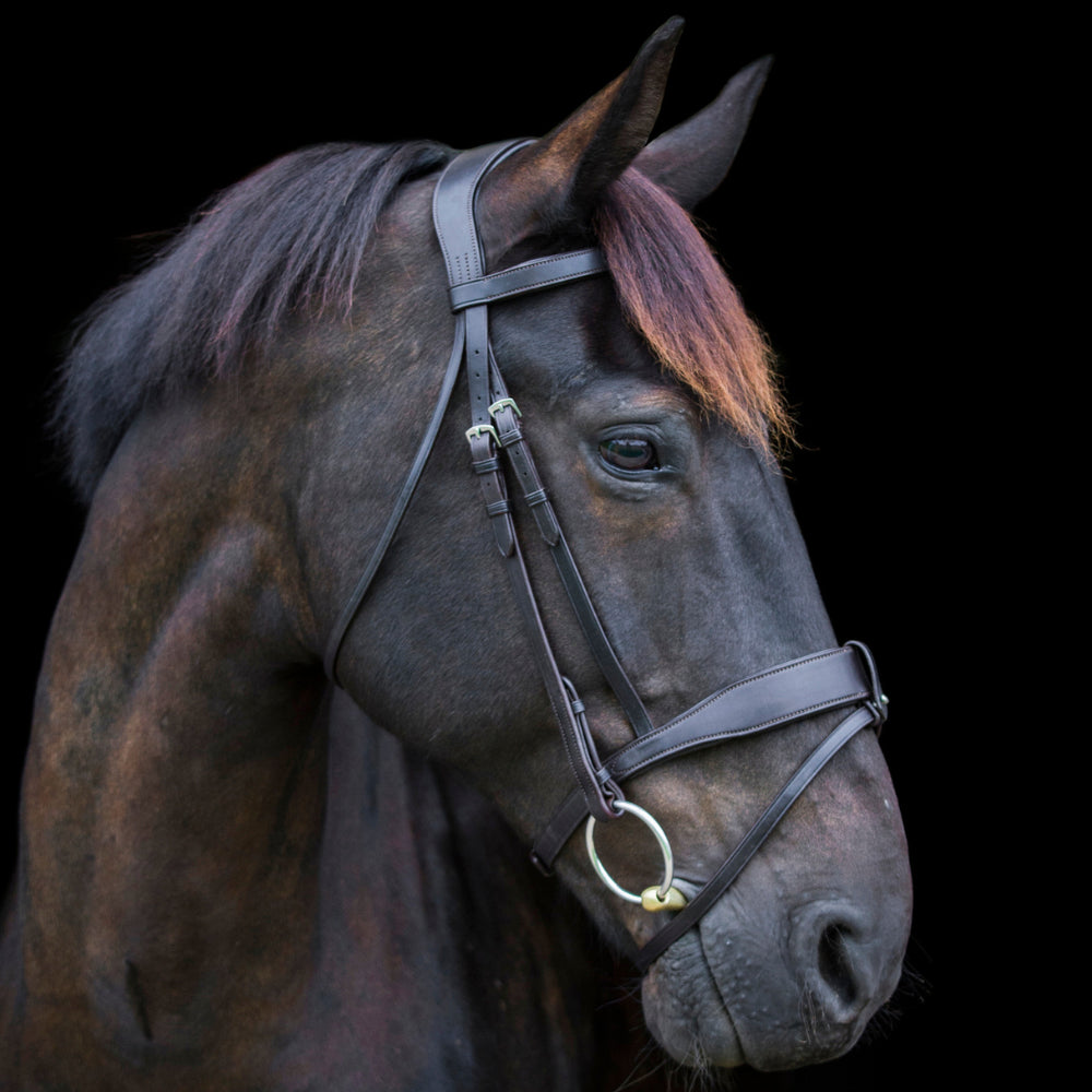 EcoRider Classic Show Comfort Bridle-Handcrafted Soft Padded Headpiece &Noseband - Just Horse Riders