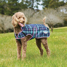 Weatherbeeta Comfitec Premier Free Parka Deluxe Dog Coat Medium - Just Horse Riders