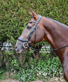 Rhinegold Softee Pro-Anatomic Flash Bridle - Just Horse Riders