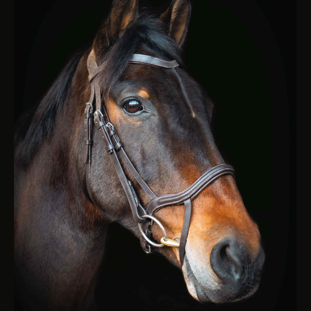 Cameo Equine Performance Anatomic Bridle - Comfort & Style Soft Padded Leather - Just Horse Riders