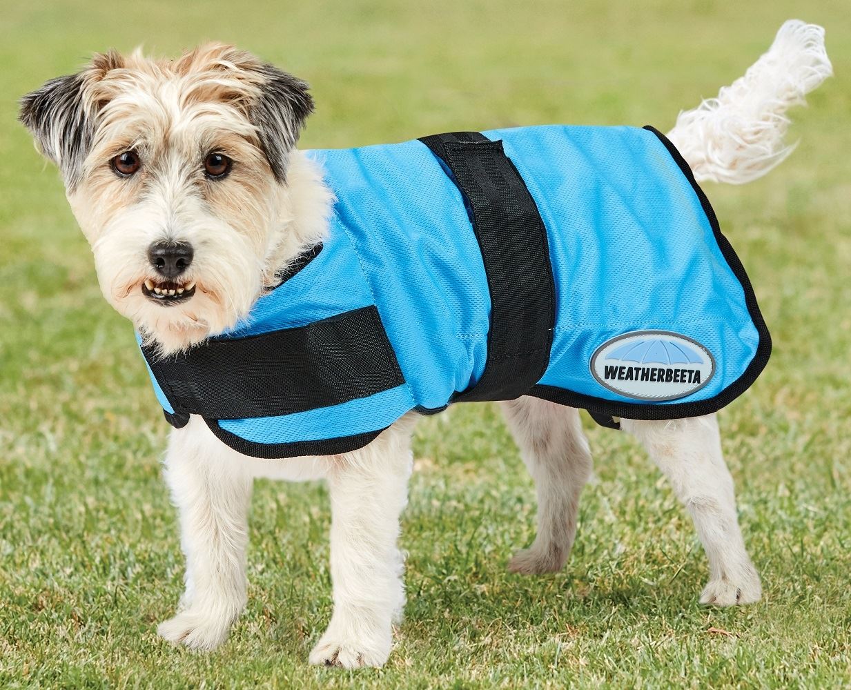 Weatherbeeta Therapy-Tec Cooling Dog Coat - Just Horse Riders