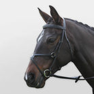 Kincade Grackle Bridle - Just Horse Riders