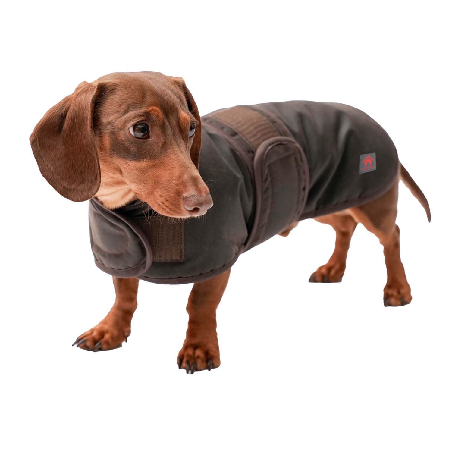 Firefoot Waxed Dachshund Coat - Just Horse Riders