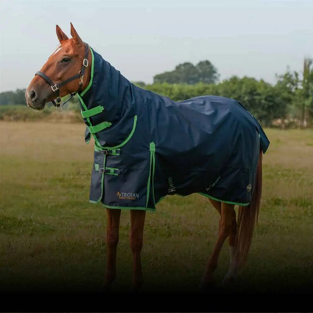 gallop equestrian banner mobile - just horse riders