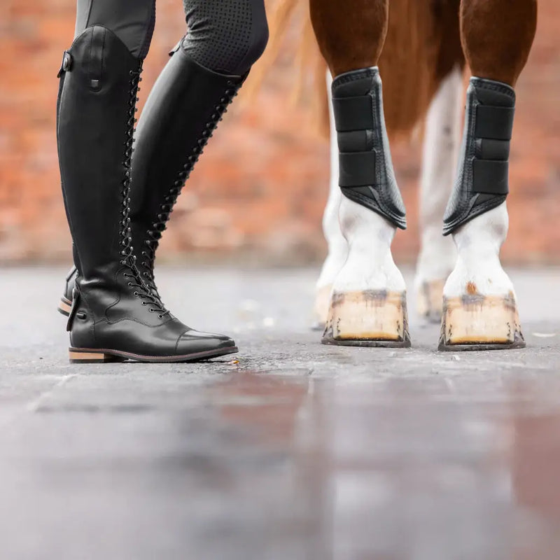 Horse & rider essentials